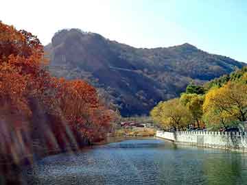 澳门天天彩期期精准平肖，双鸭山seo排名